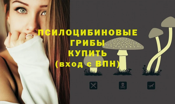 MESCALINE Баксан