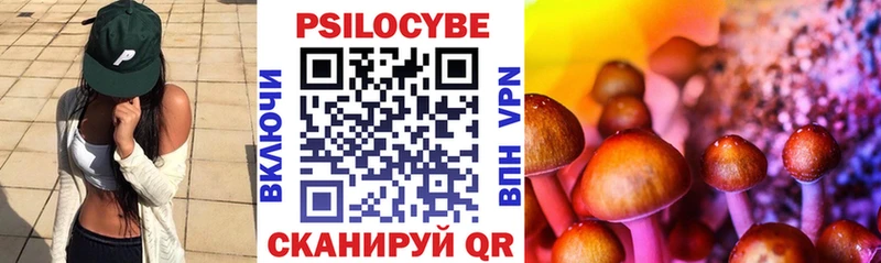 Купить закладки  Лермонтов  Галлюциногенные грибы Magic Shrooms 